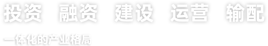 轮盘赌技巧