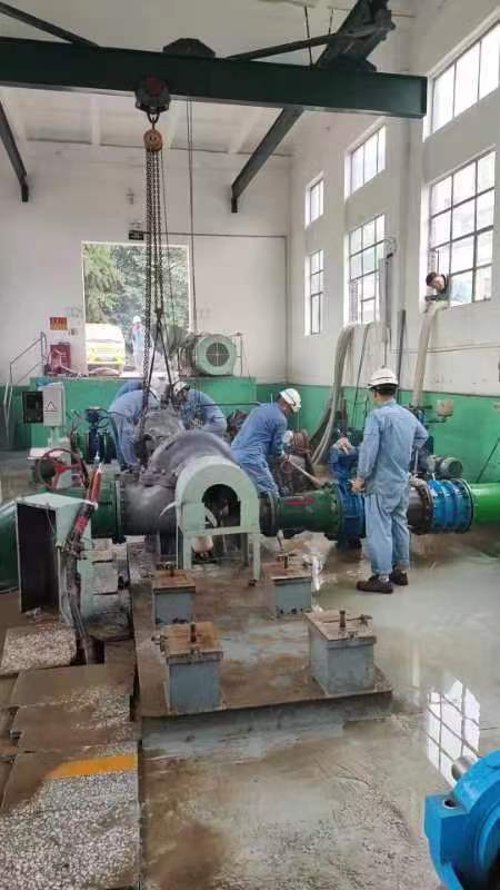 轮盘赌技巧